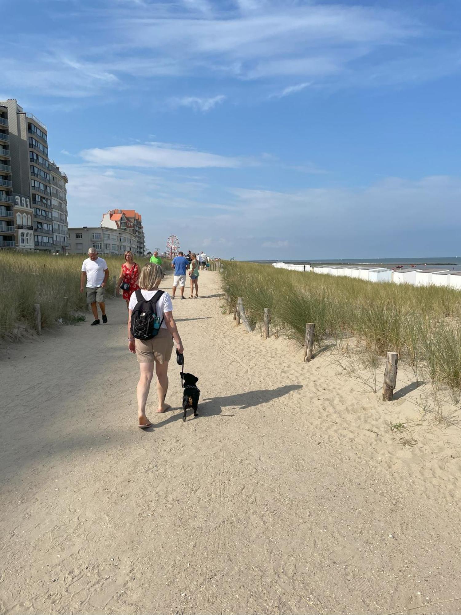 Cosy Duplex In Westende Met 3 Slpk ミデルケルケ エクステリア 写真